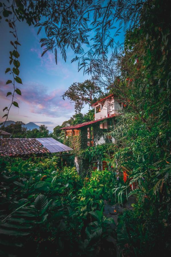 Hotel Lush Atitlán San Marcos La Laguna Esterno foto